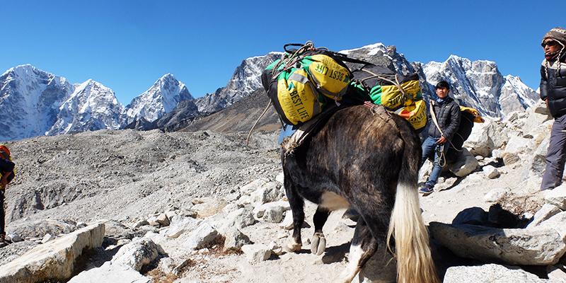 Everest Base Camp Trek, Everest Trek, Trekking in Nepal