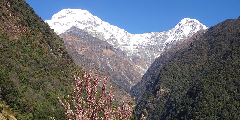 Annapurna base camp trek