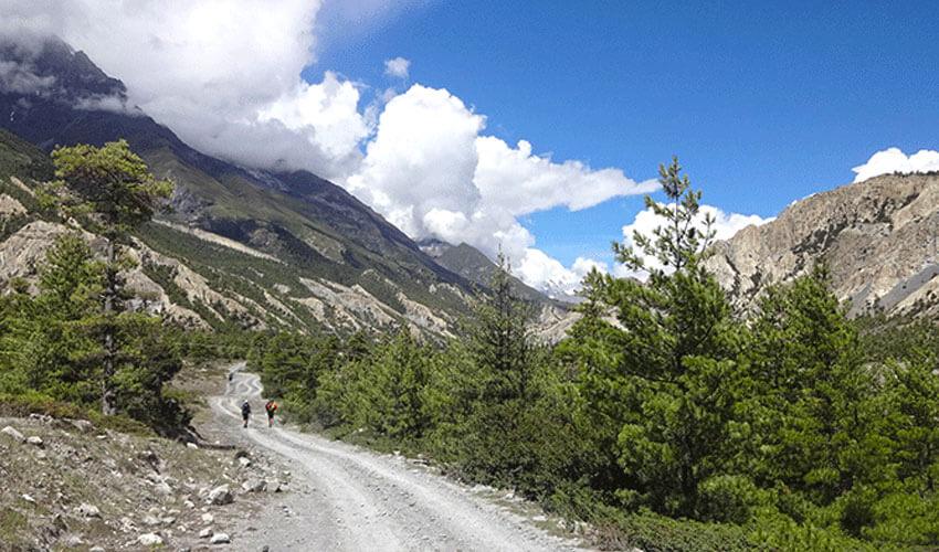 Annapurna circuit trek