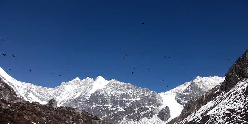 Langtang valley trek