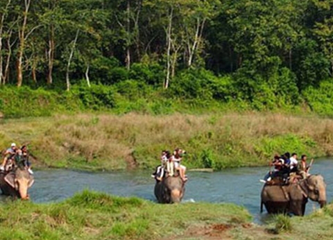 Jungle Safari in Nepal