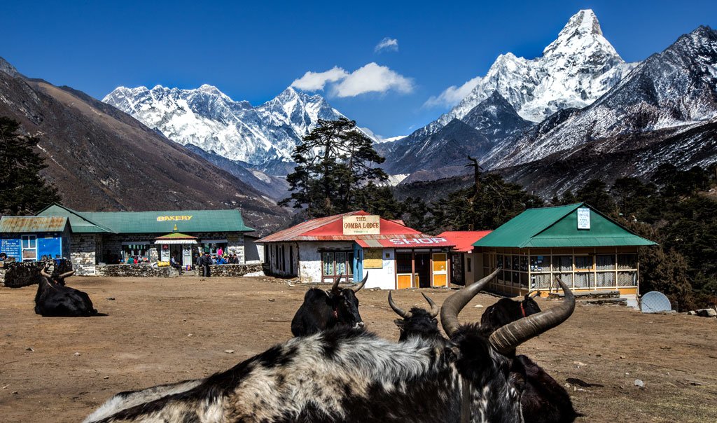 Everest Panorama Trek