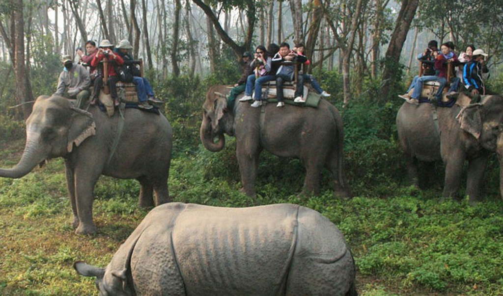 Chitwan Jungle Safari