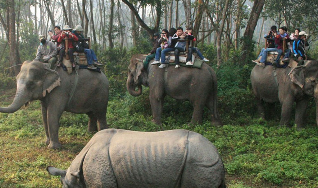 Chitwan Jungle Safari