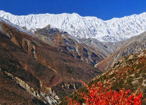 Annapurna Circuit Express Trek