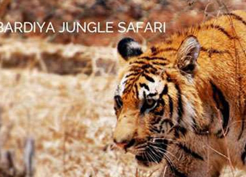 Bardia National Park Jungle Safari