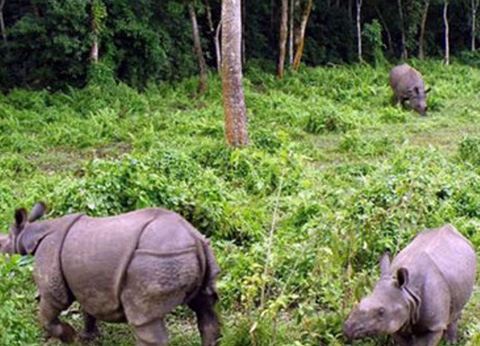 Bardia National Park