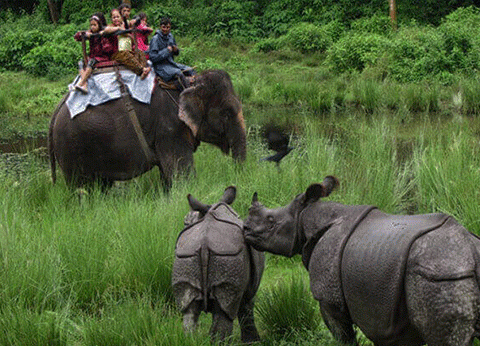 Chitwan Jungle Safari