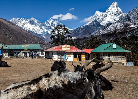 Everest View Trek