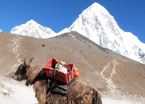 Everest Three Passes Trek