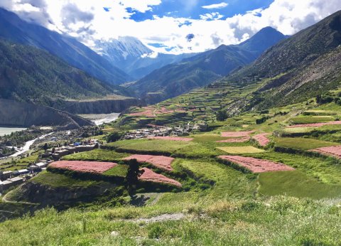tilicho lake trekking in nepal