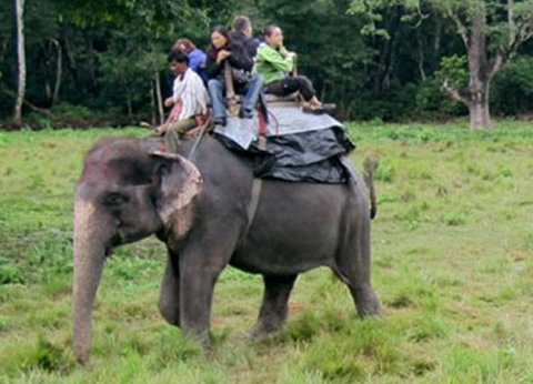 Kathmandu Chitwan Tour