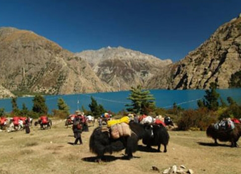 Lower Dolpo Trek